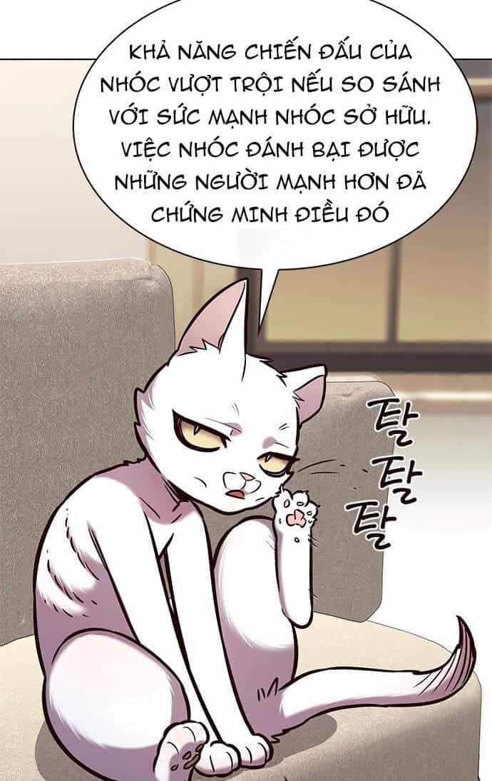 Hoá Thân Thành Mèo - Chương 199 - ảnh 57