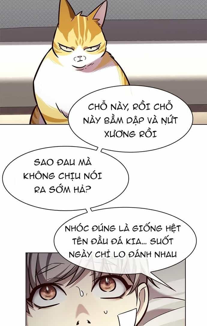 Hoá Thân Thành Mèo - Chương 199 - ảnh 69