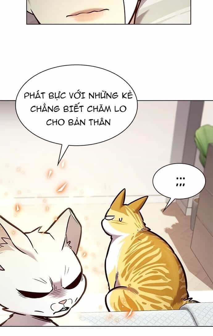 Hoá Thân Thành Mèo - Chương 199 - ảnh 70