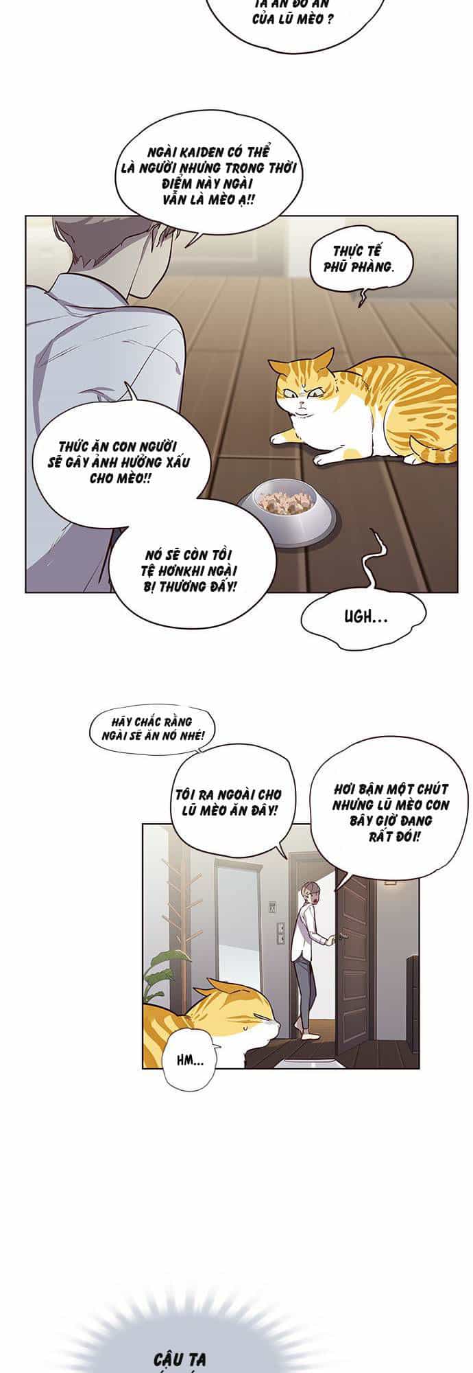 Hoá Thân Thành Mèo - Chương 2 - ảnh 11