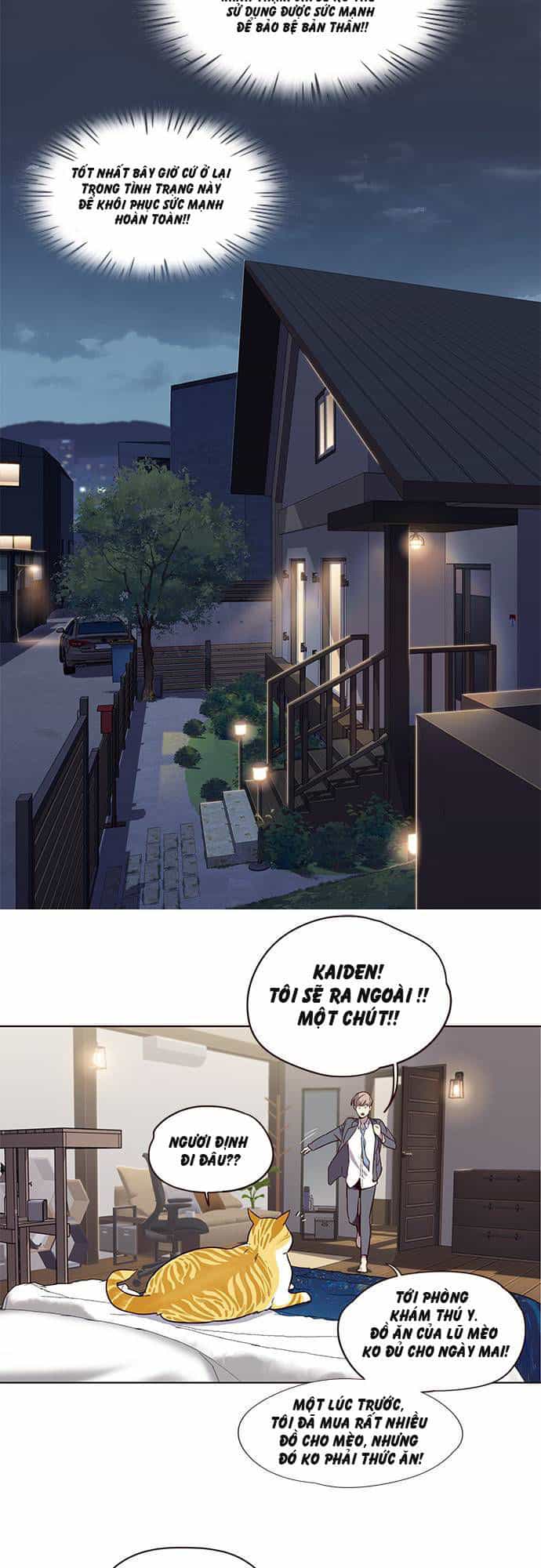 Hoá Thân Thành Mèo - Chương 2 - ảnh 15