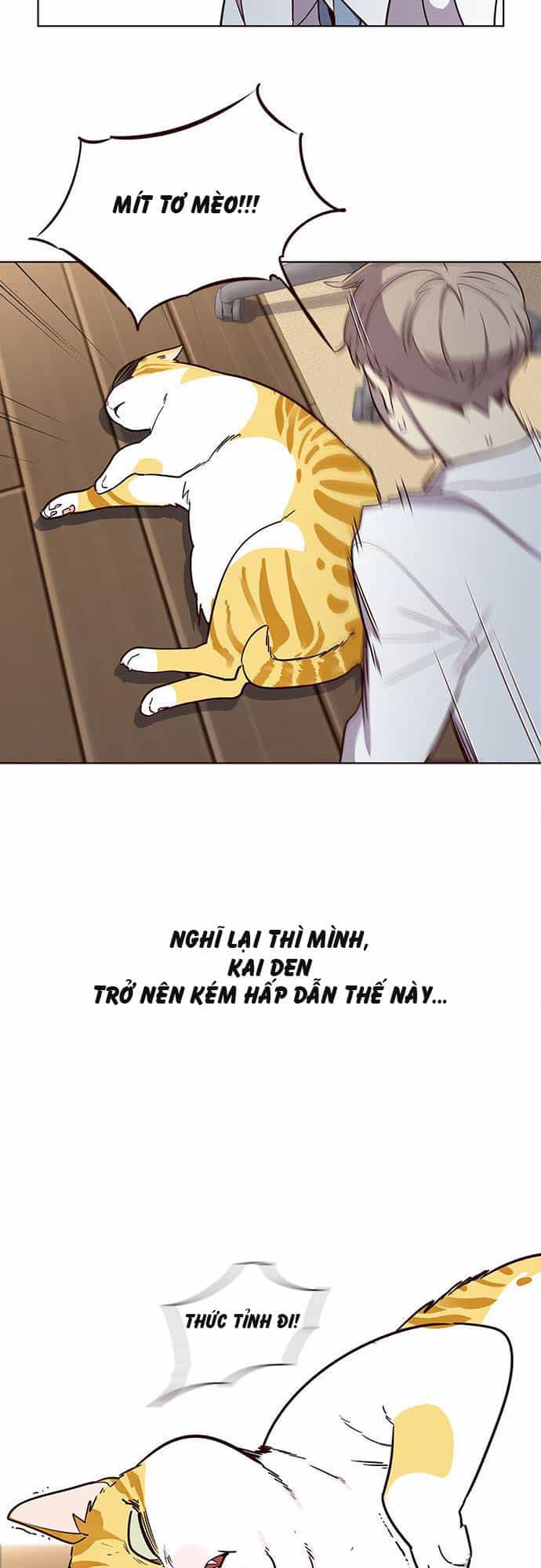 Hoá Thân Thành Mèo - Chương 2 - ảnh 2