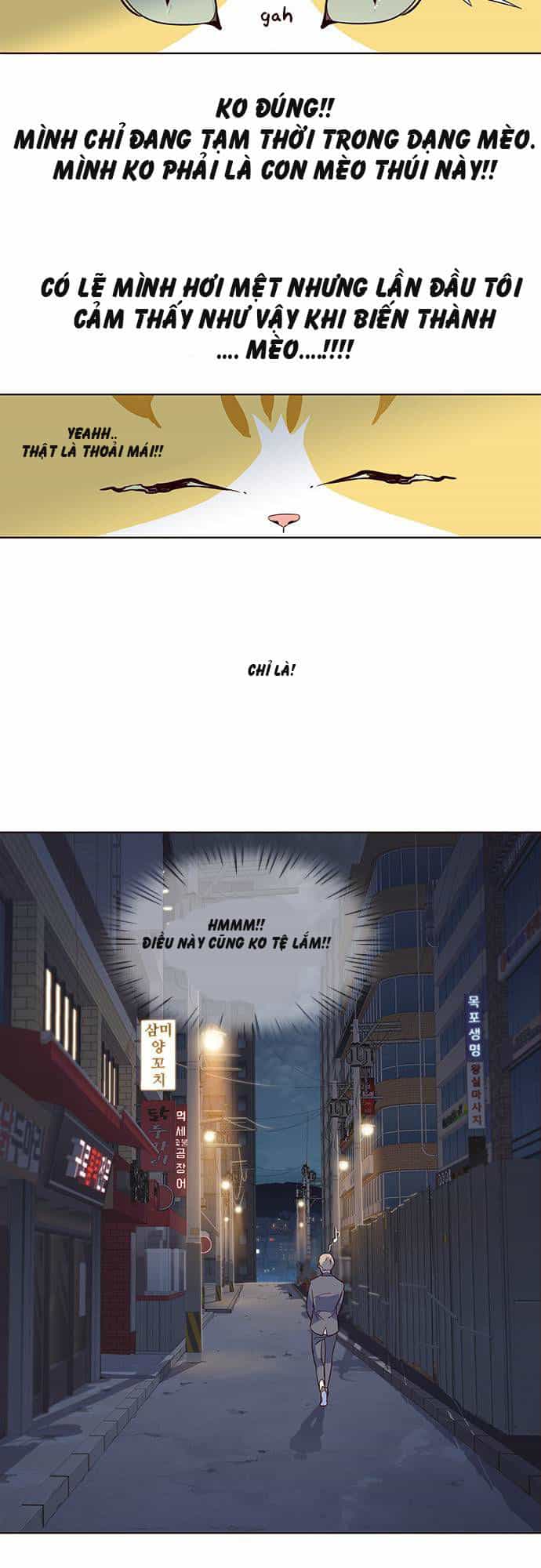Hoá Thân Thành Mèo - Chương 2 - ảnh 20