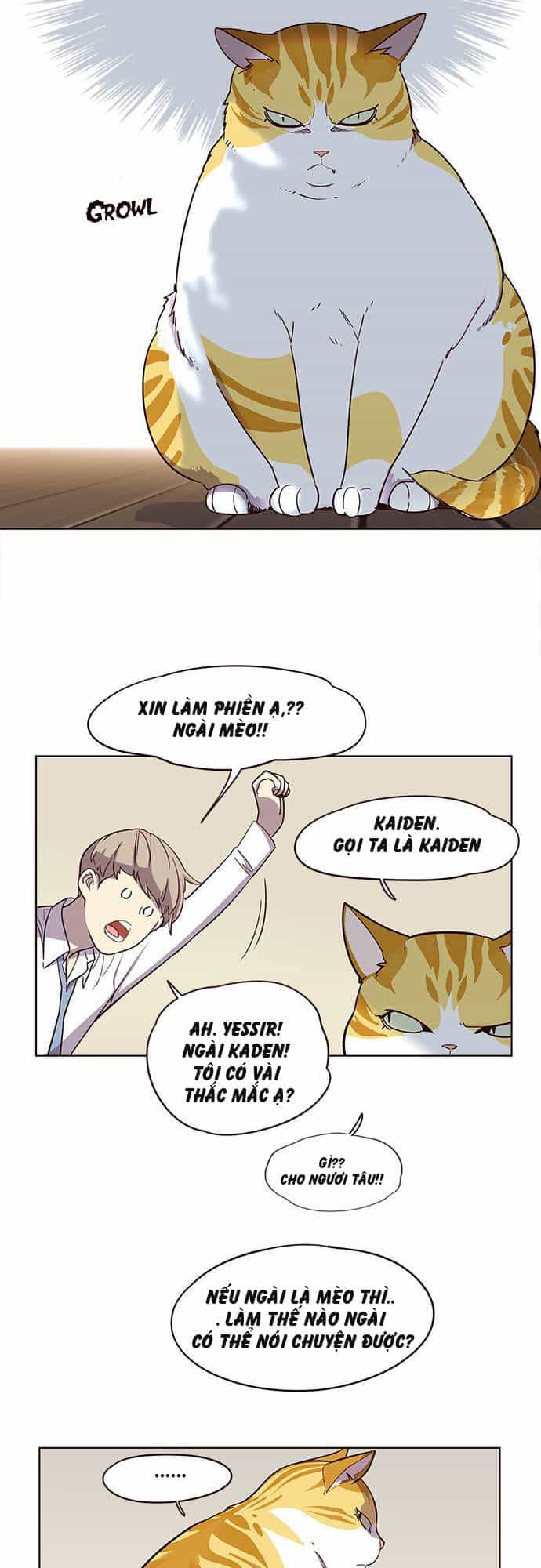 Hoá Thân Thành Mèo - Chương 2 - ảnh 6