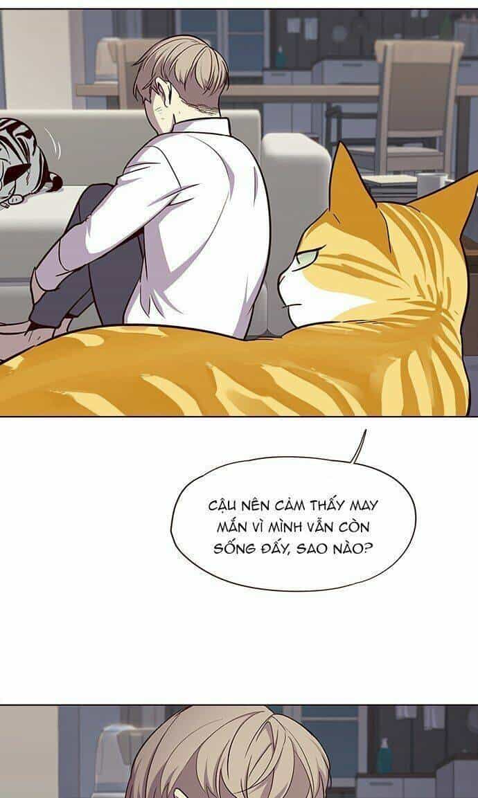 Hoá Thân Thành Mèo - Chương 21 - ảnh 34