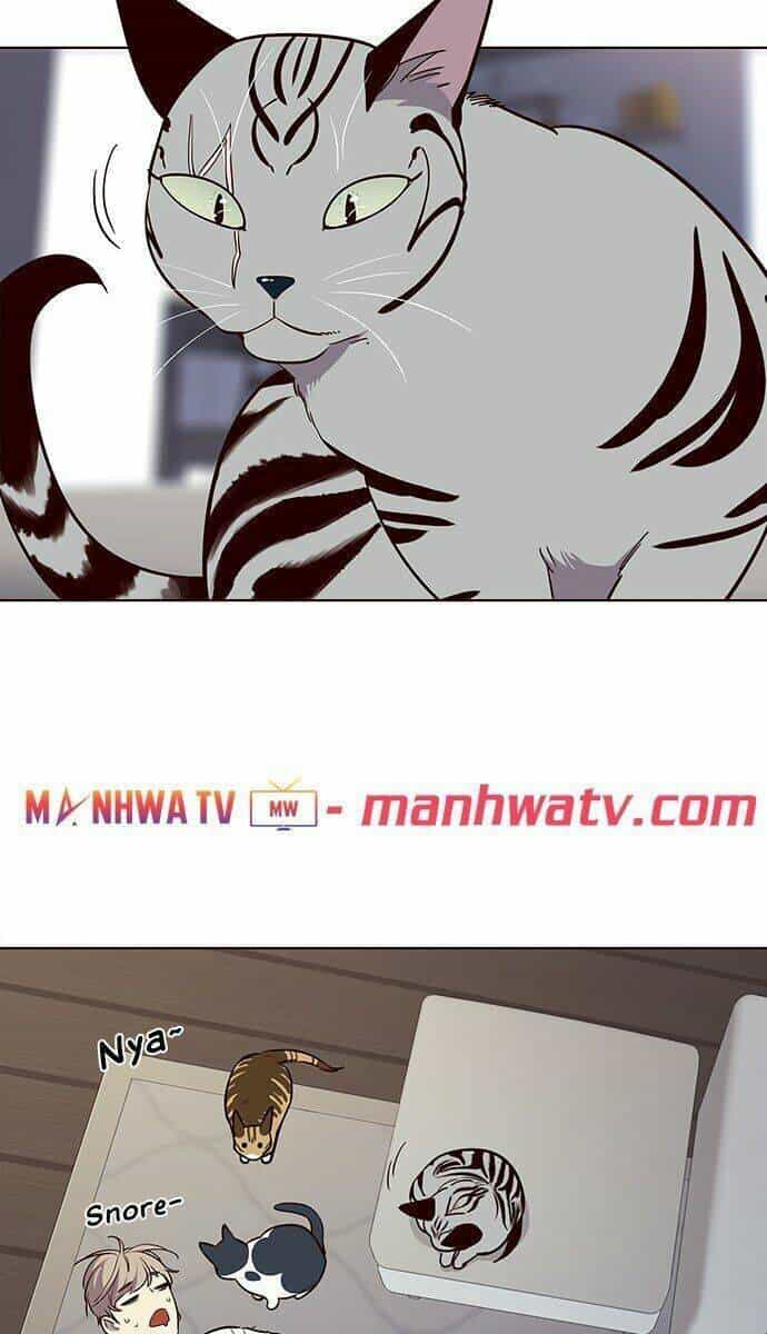 Hoá Thân Thành Mèo - Chương 21 - ảnh 66