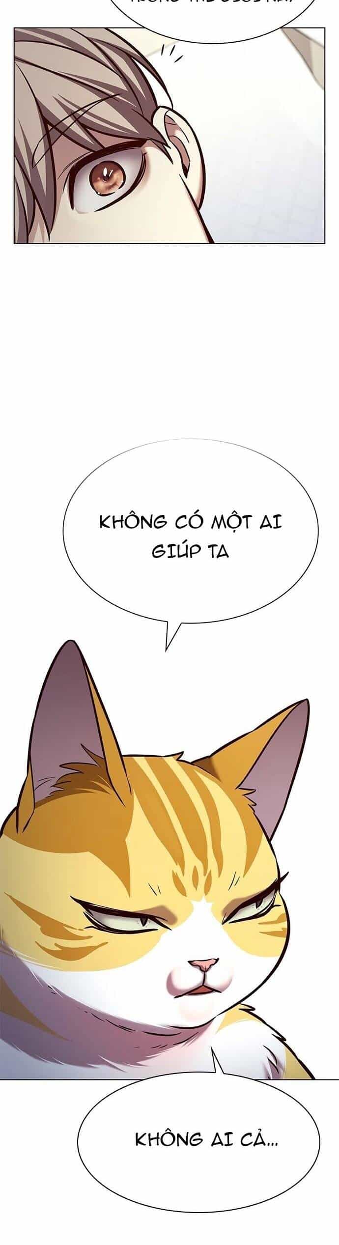 Hoá Thân Thành Mèo - Chương 214 - ảnh 47