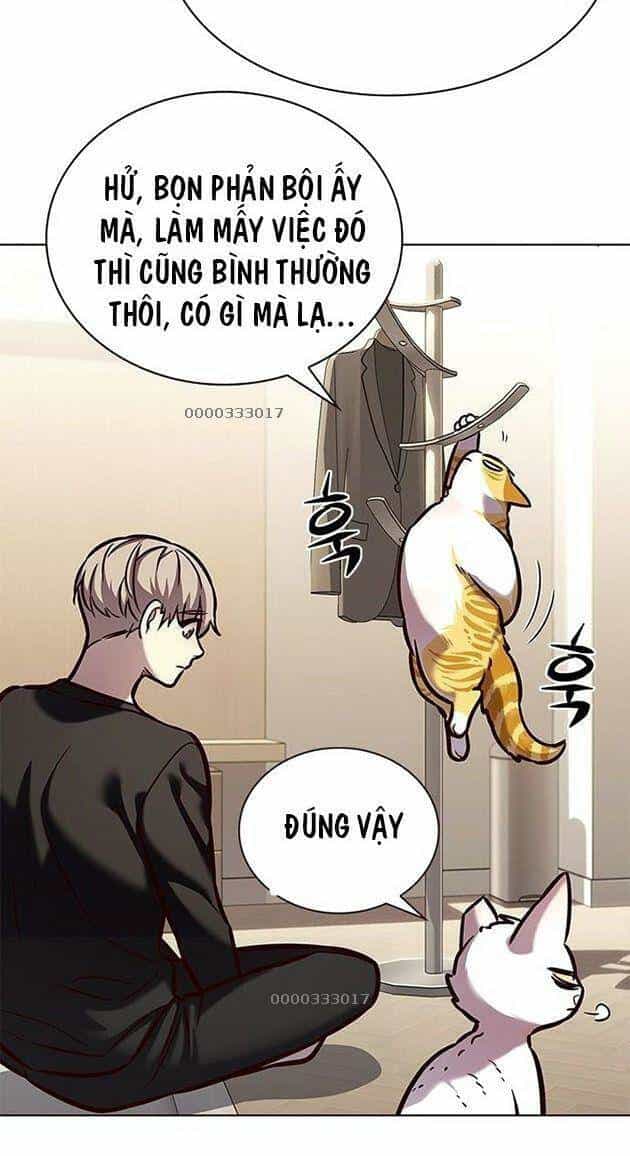 Hoá Thân Thành Mèo - Chương 218 - ảnh 35