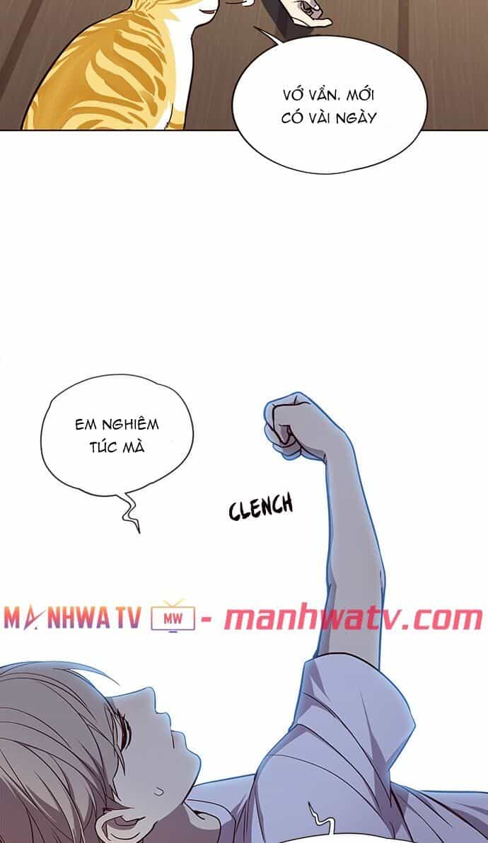 Hoá Thân Thành Mèo - Chương 22 - ảnh 15