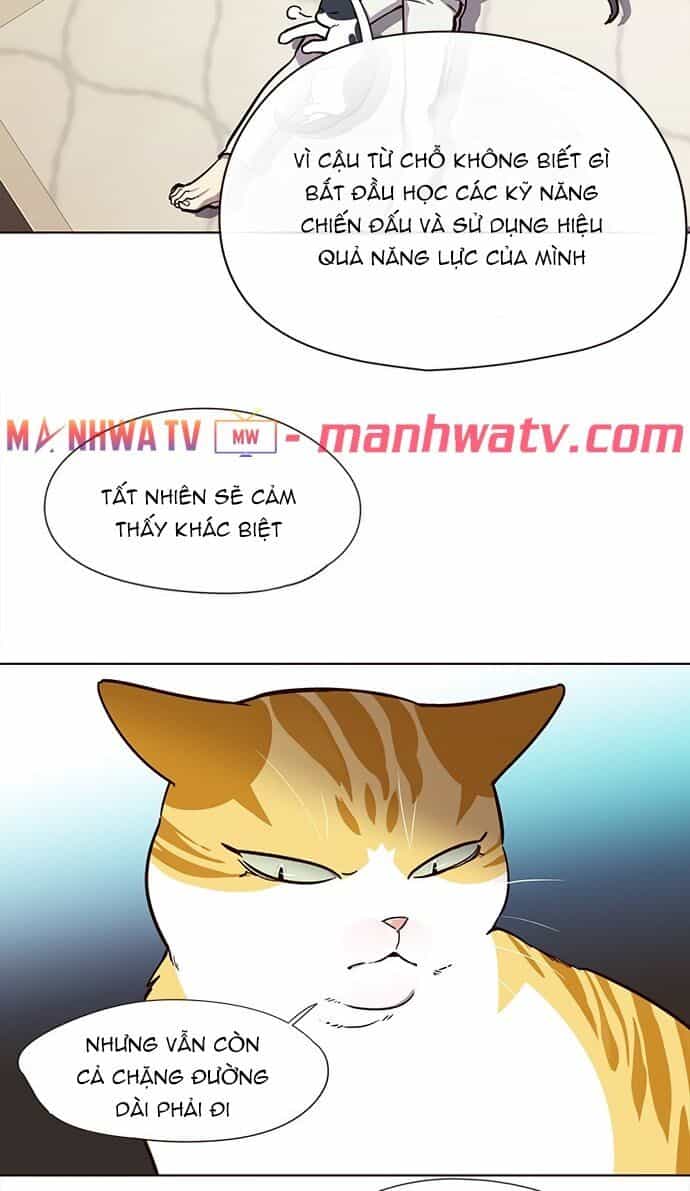 Hoá Thân Thành Mèo - Chương 22 - ảnh 17