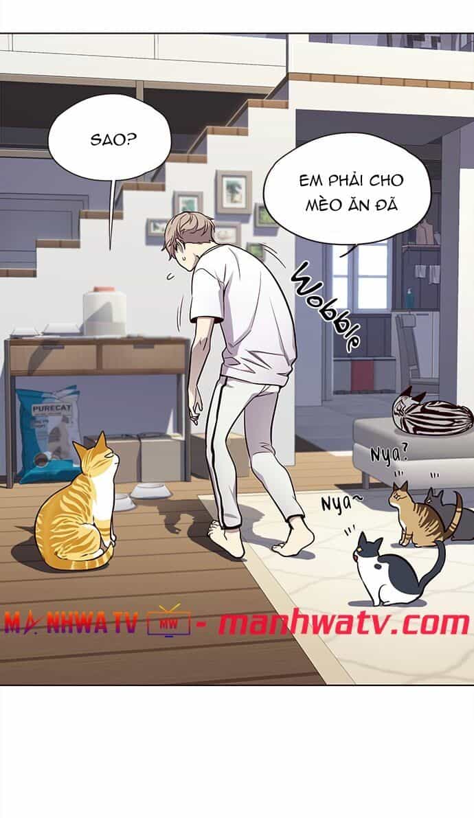 Hoá Thân Thành Mèo - Chương 22 - ảnh 23