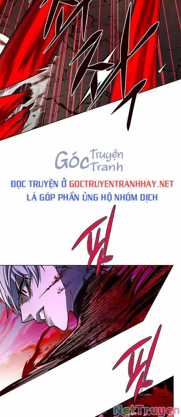 Hoá Thân Thành Mèo - Chương 221 - ảnh 51