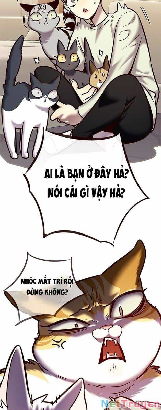 Hoá Thân Thành Mèo - Chương 225 - ảnh 45