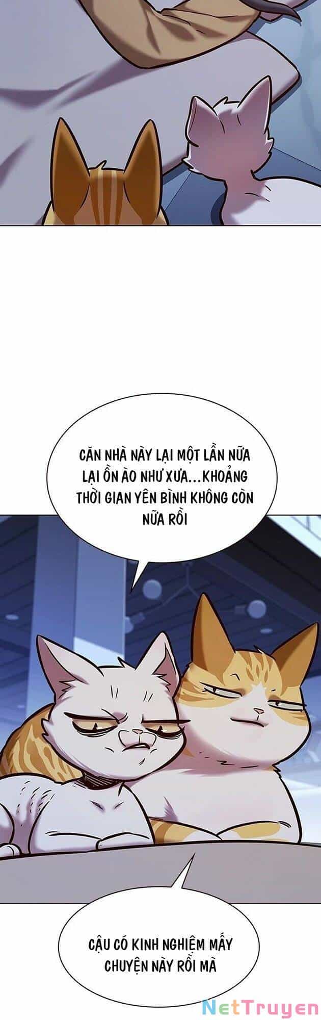 Hoá Thân Thành Mèo - Chương 229 - ảnh 46