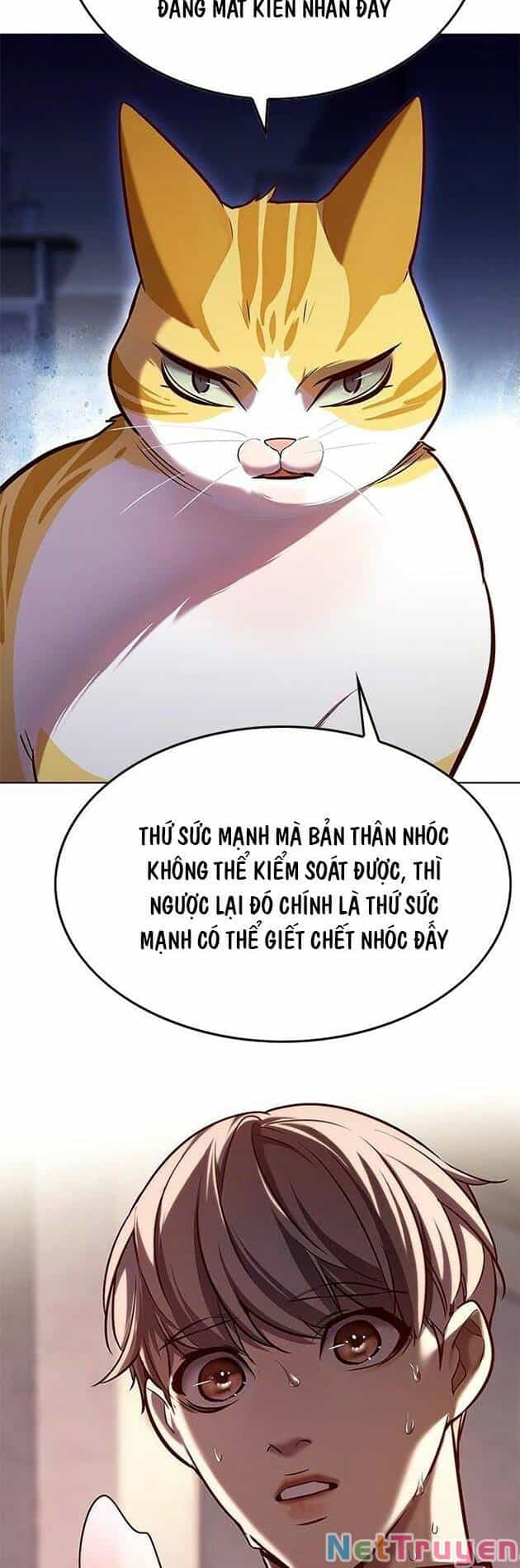Hoá Thân Thành Mèo - Chương 229 - ảnh 67