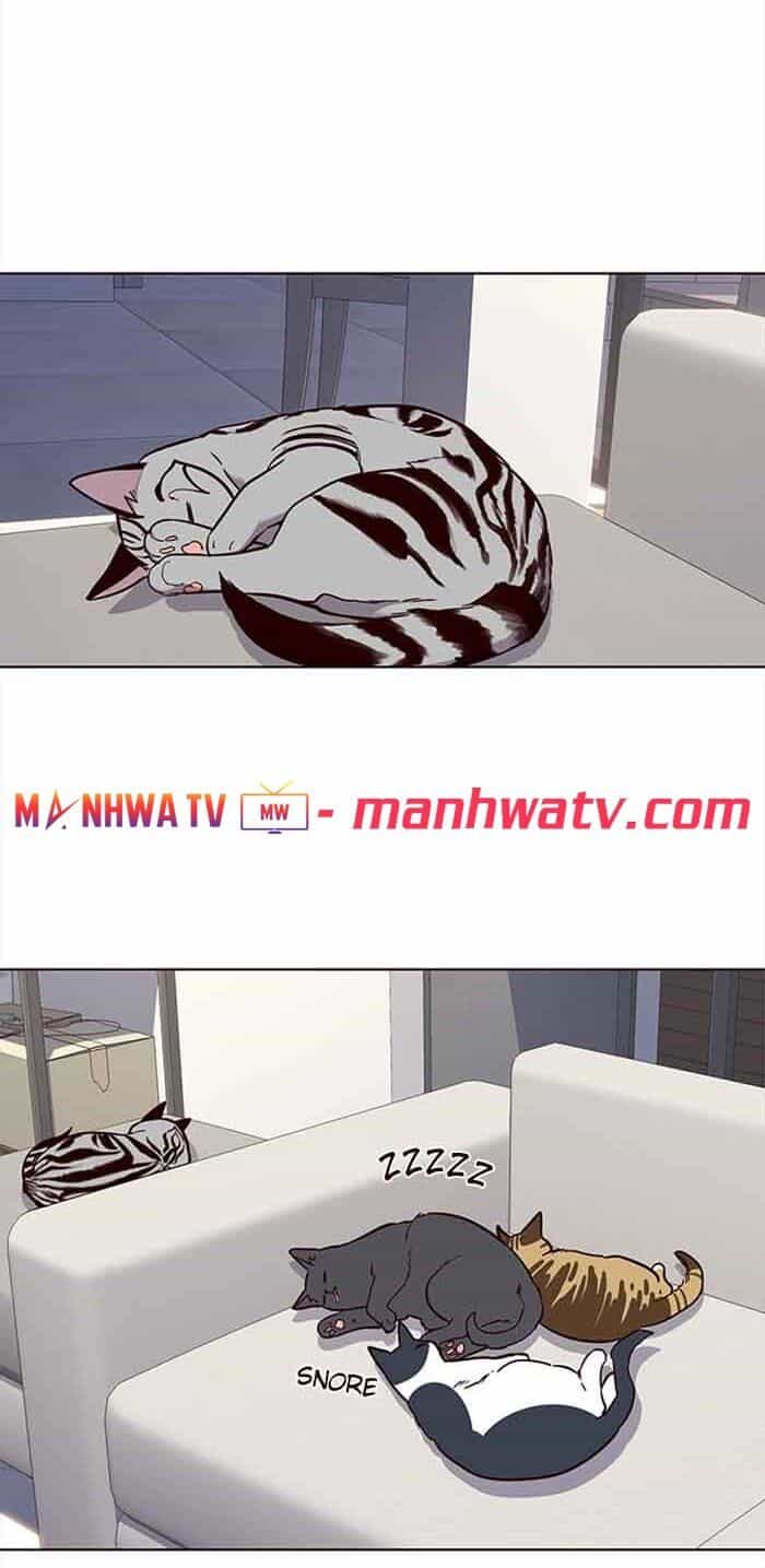 Hoá Thân Thành Mèo - Chương 23 - ảnh 30