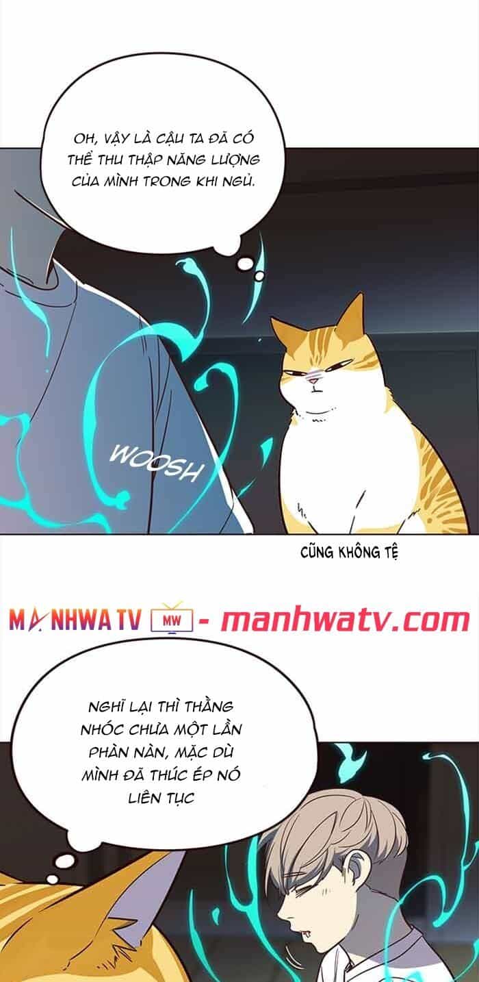 Hoá Thân Thành Mèo - Chương 23 - ảnh 34