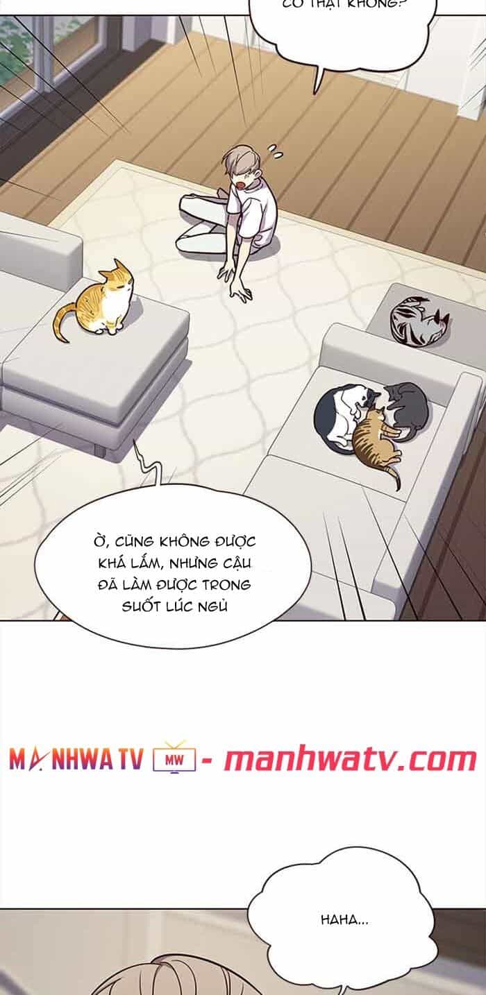 Hoá Thân Thành Mèo - Chương 23 - ảnh 39