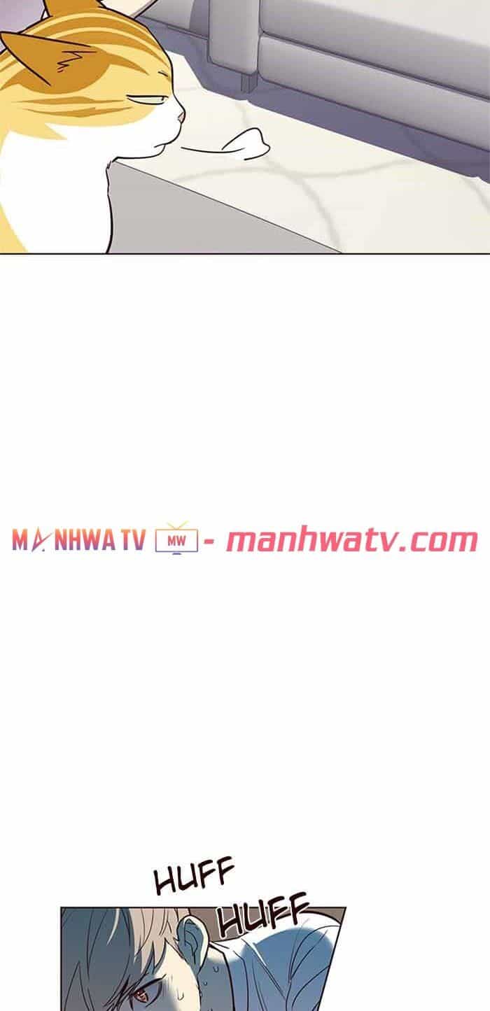 Hoá Thân Thành Mèo - Chương 23 - ảnh 48