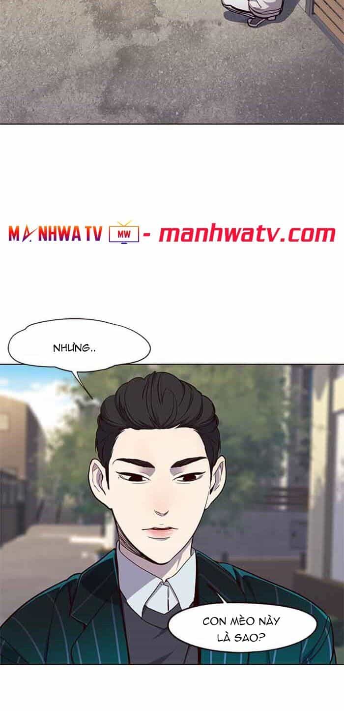 Hoá Thân Thành Mèo - Chương 23 - ảnh 58