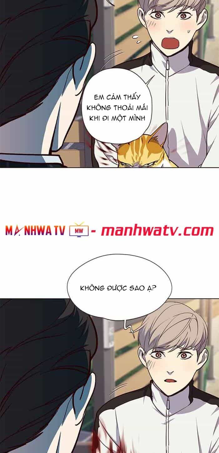 Hoá Thân Thành Mèo - Chương 23 - ảnh 60