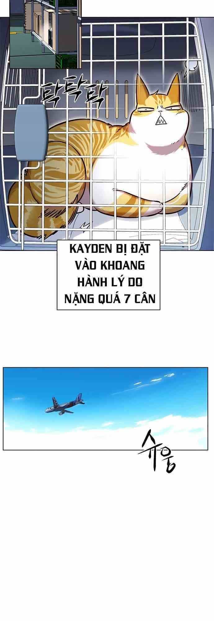 Hoá Thân Thành Mèo - Chương 231 - ảnh 21