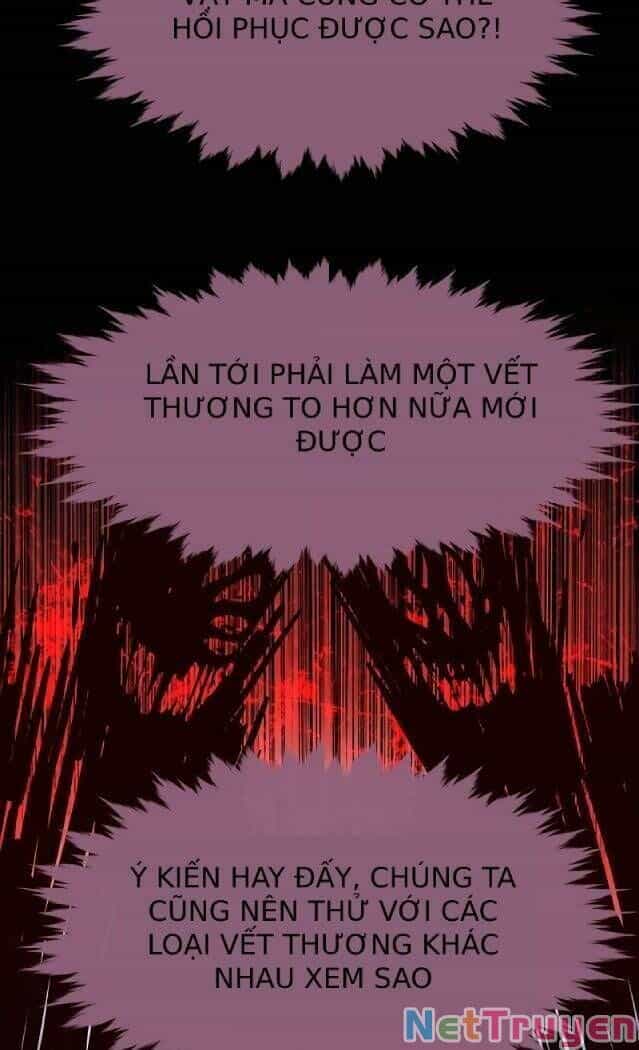 Hoá Thân Thành Mèo - Chương 238 - ảnh 24