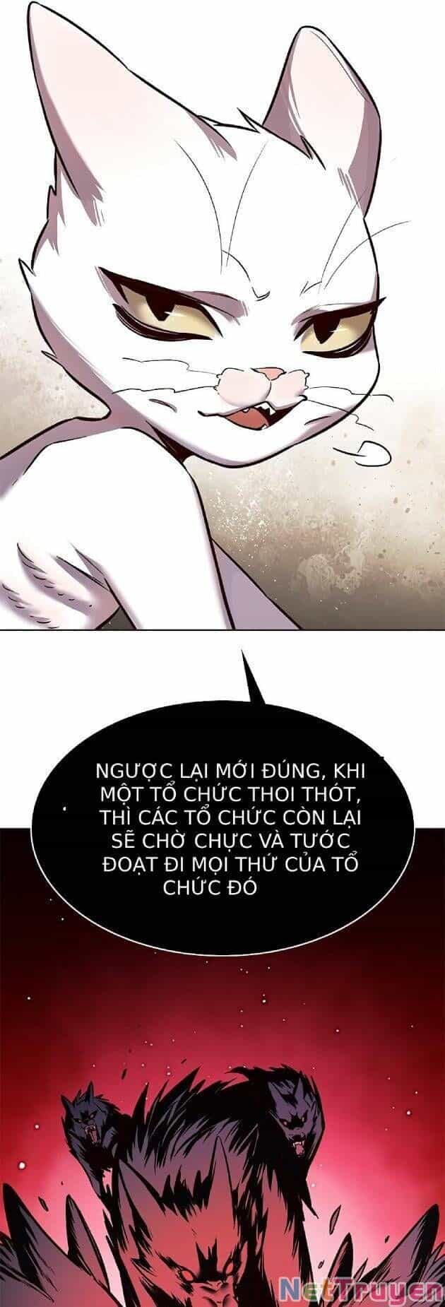 Hoá Thân Thành Mèo - Chương 239 - ảnh 37