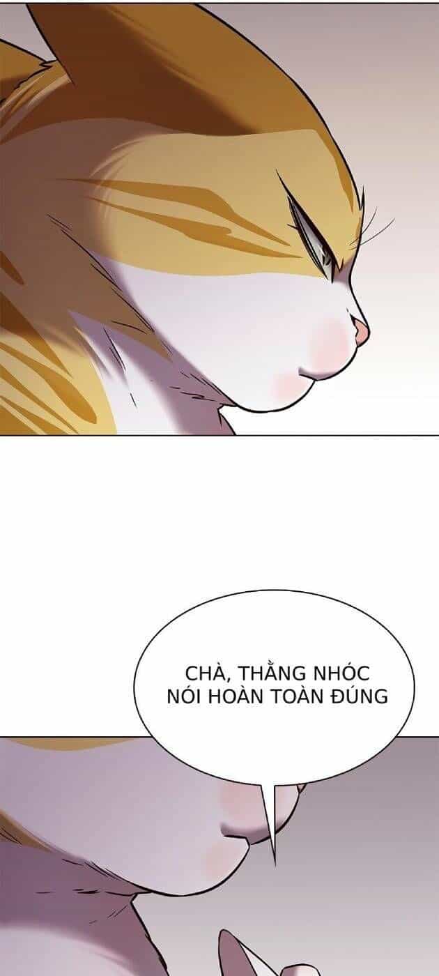 Hoá Thân Thành Mèo - Chương 241 - ảnh 57