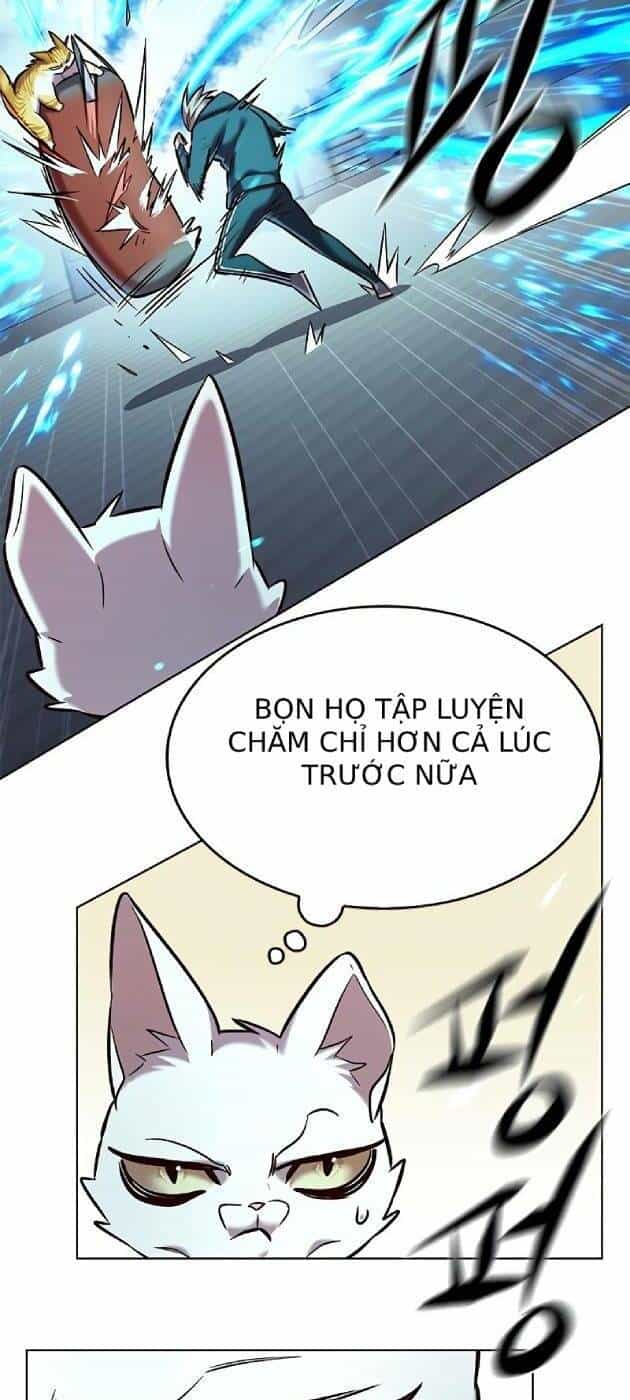 Hoá Thân Thành Mèo - Chương 241.1 - ảnh 15