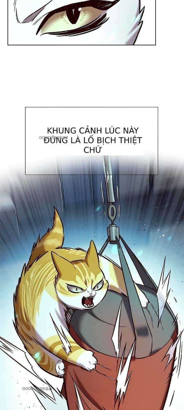 Hoá Thân Thành Mèo - Chương 241.1 - ảnh 16