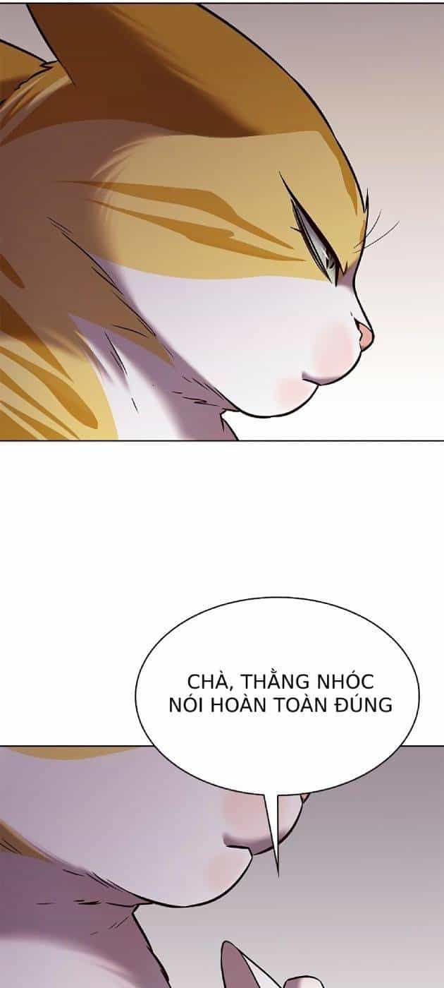 Hoá Thân Thành Mèo - Chương 241.1 - ảnh 58