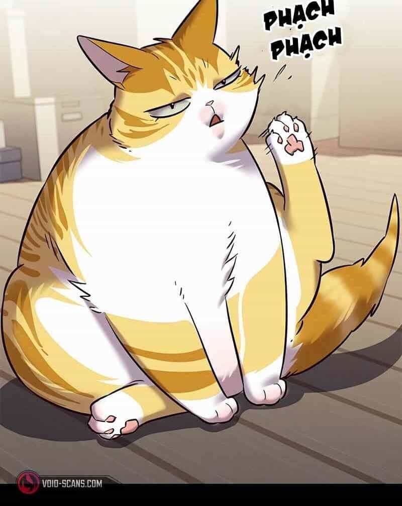 Hoá Thân Thành Mèo - Chương 244 - ảnh 14