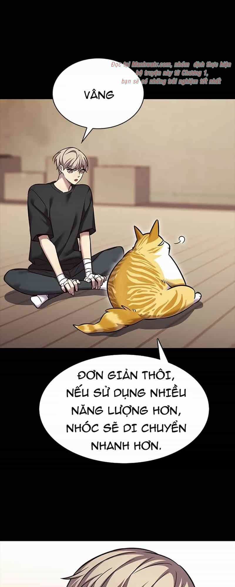 Hoá Thân Thành Mèo - Chương 244.1 - ảnh 16
