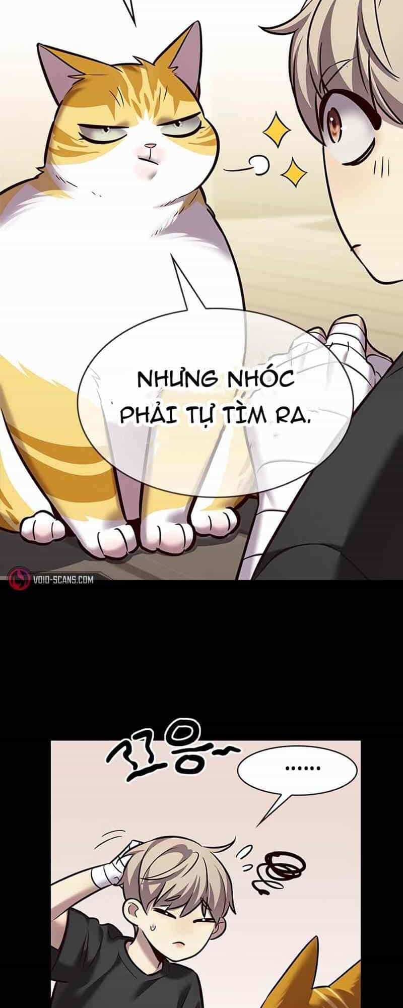 Hoá Thân Thành Mèo - Chương 244.1 - ảnh 19