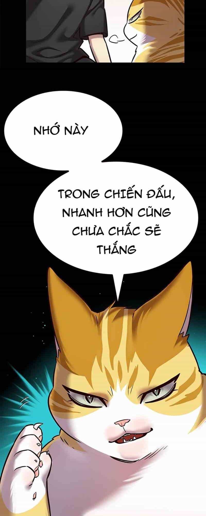 Hoá Thân Thành Mèo - Chương 244.1 - ảnh 20
