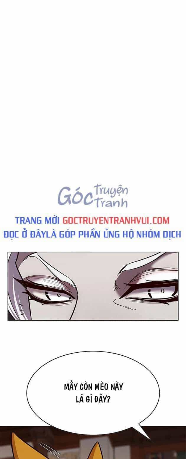 Hoá Thân Thành Mèo - Chương 246 - ảnh 1
