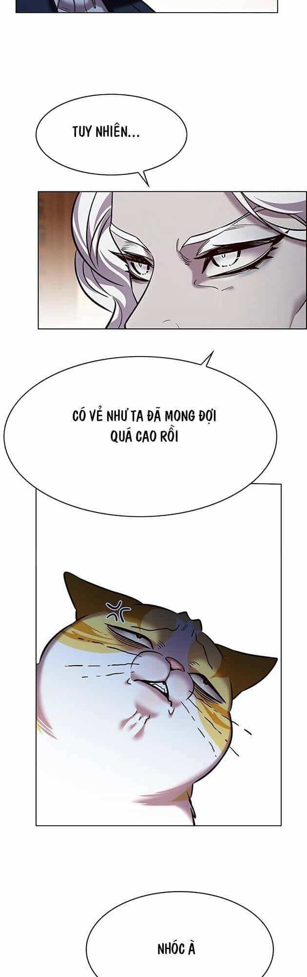 Hoá Thân Thành Mèo - Chương 246 - ảnh 24