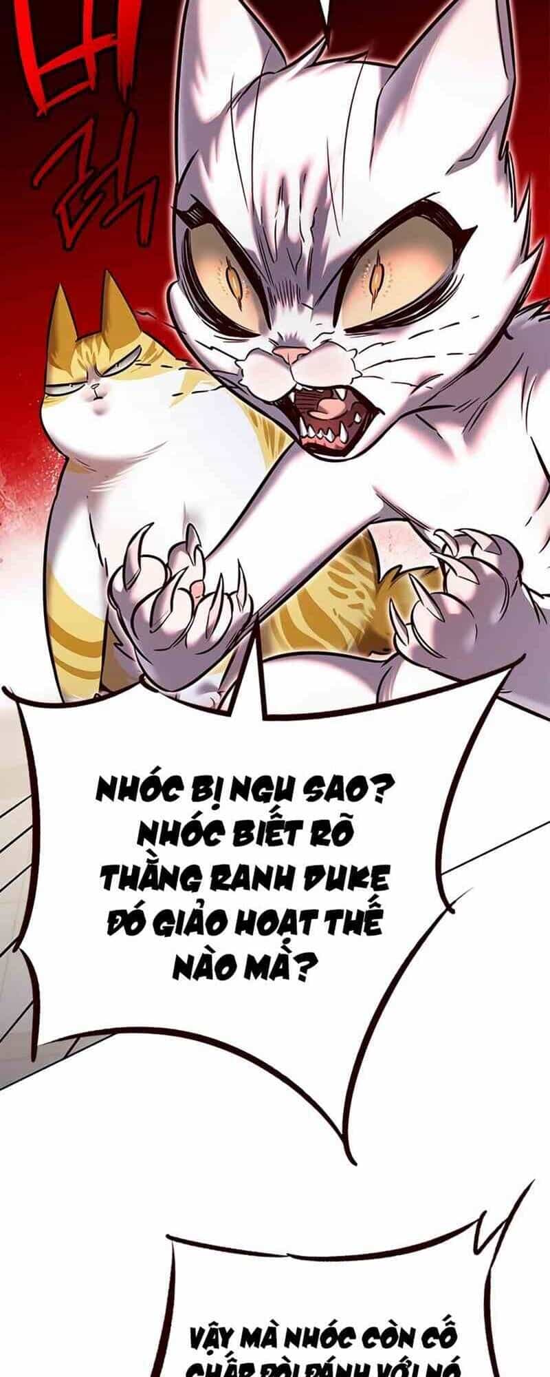 Hoá Thân Thành Mèo - Chương 249 - ảnh 62