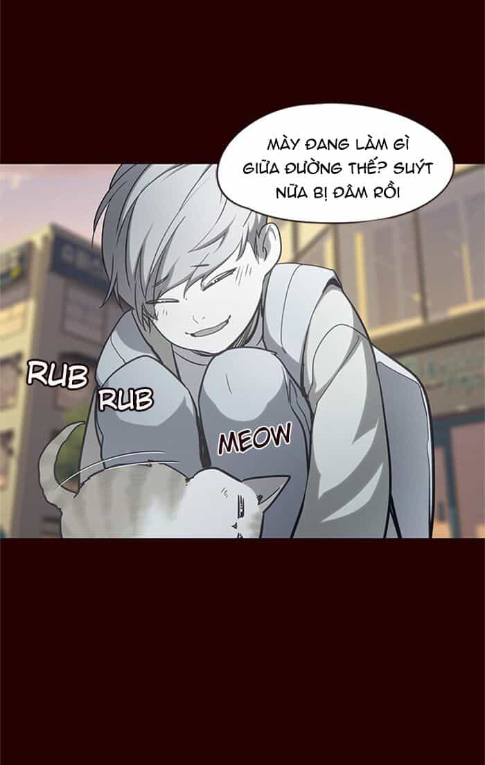 Hoá Thân Thành Mèo - Chương 27 - ảnh 16