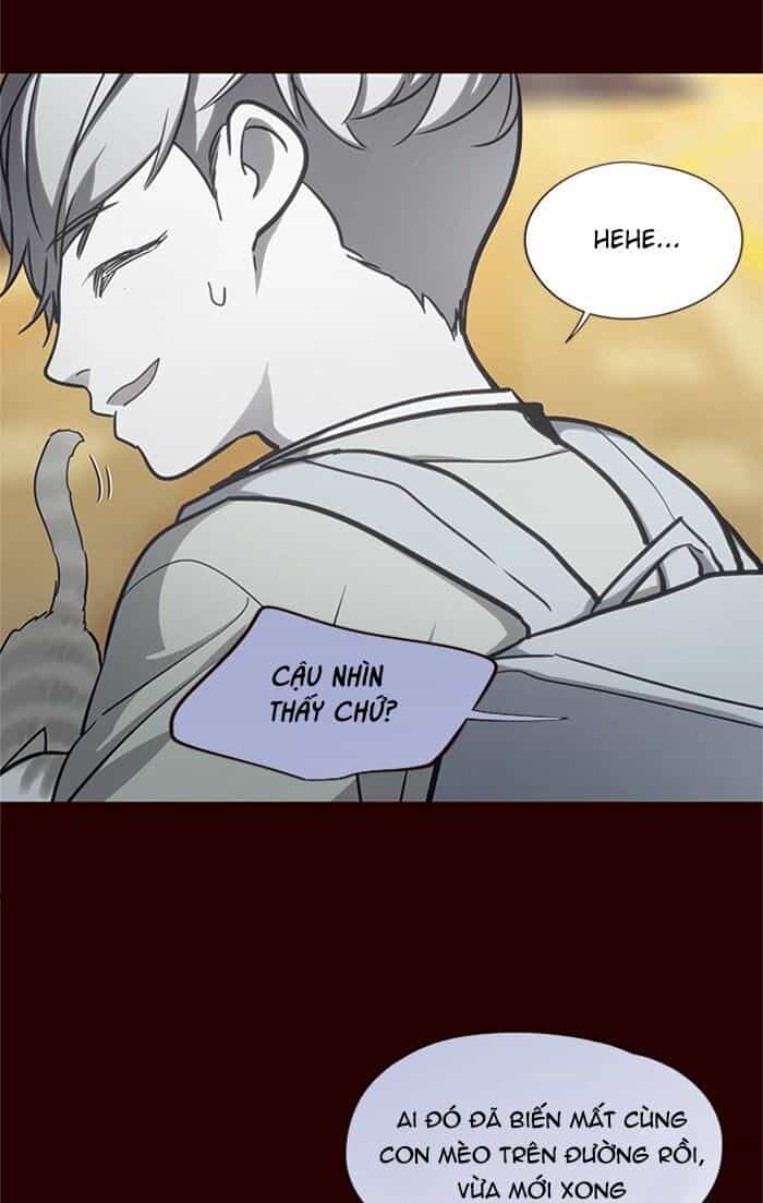 Hoá Thân Thành Mèo - Chương 27 - ảnh 17