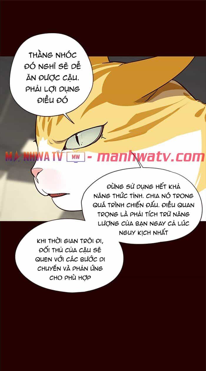 Hoá Thân Thành Mèo - Chương 27 - ảnh 42