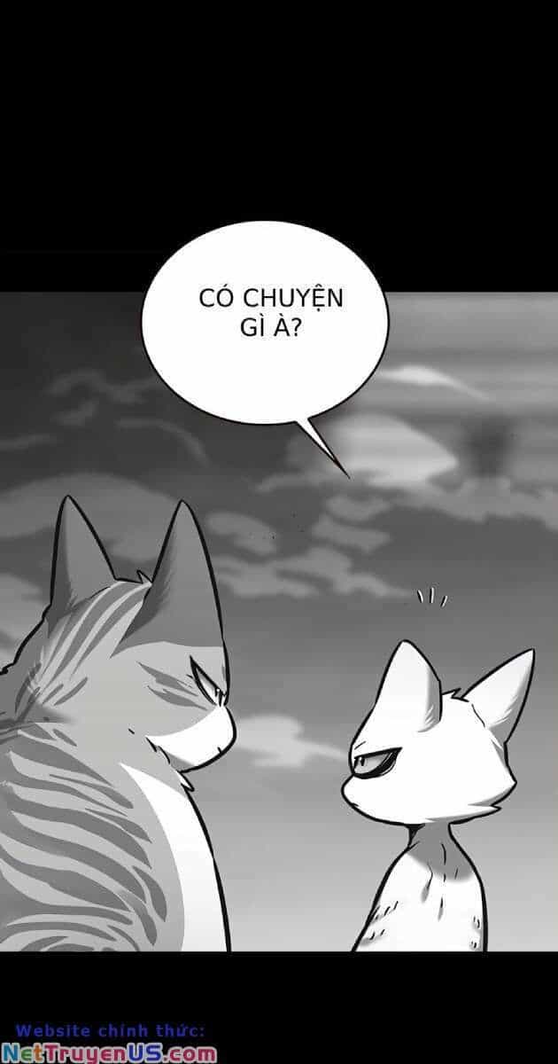 Hoá Thân Thành Mèo - Chương 261 - ảnh 7