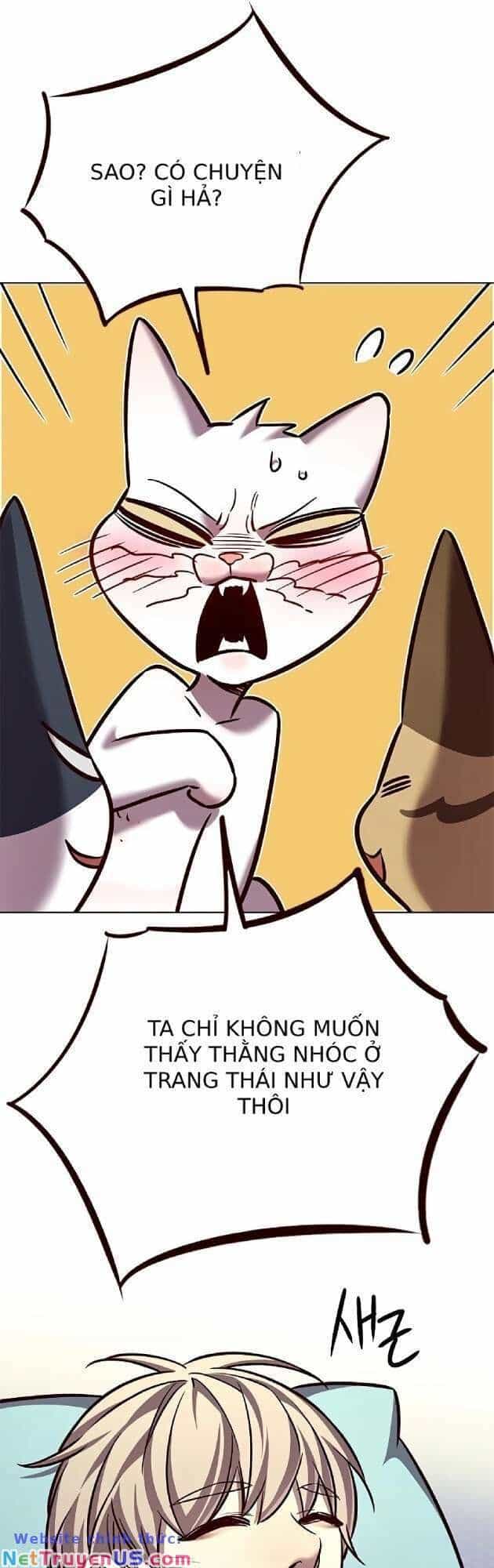 Hoá Thân Thành Mèo - Chương 262 - ảnh 60