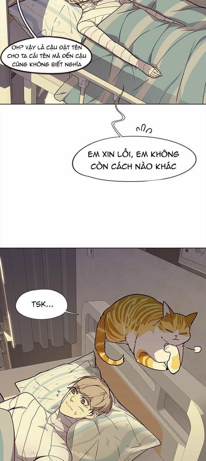 Hoá Thân Thành Mèo - Chương 29 - ảnh 16
