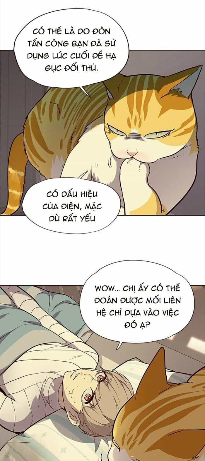 Hoá Thân Thành Mèo - Chương 29 - ảnh 18