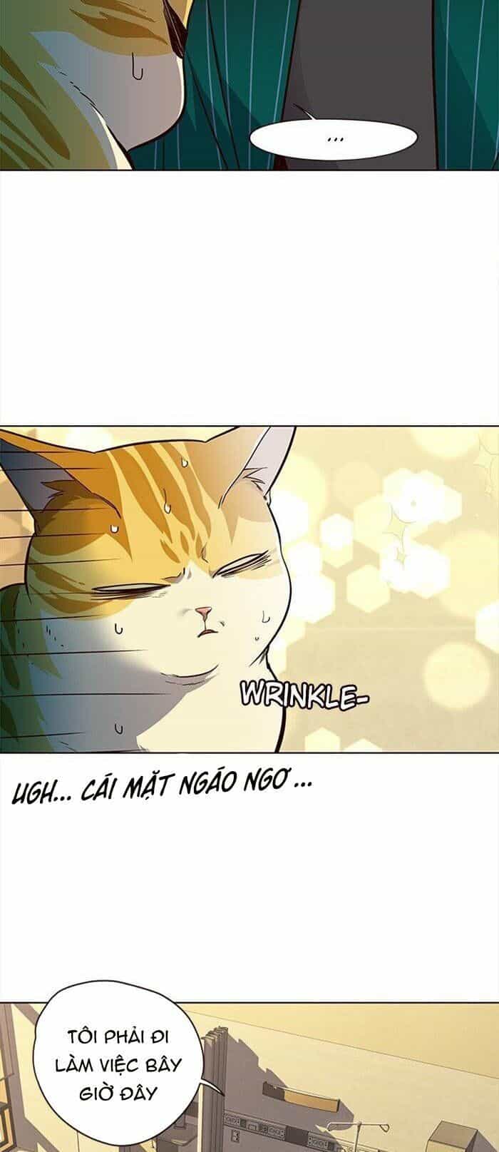 Hoá Thân Thành Mèo - Chương 29 - ảnh 32