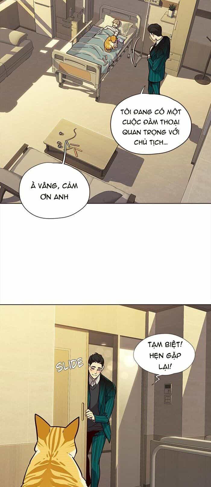 Hoá Thân Thành Mèo - Chương 29 - ảnh 33