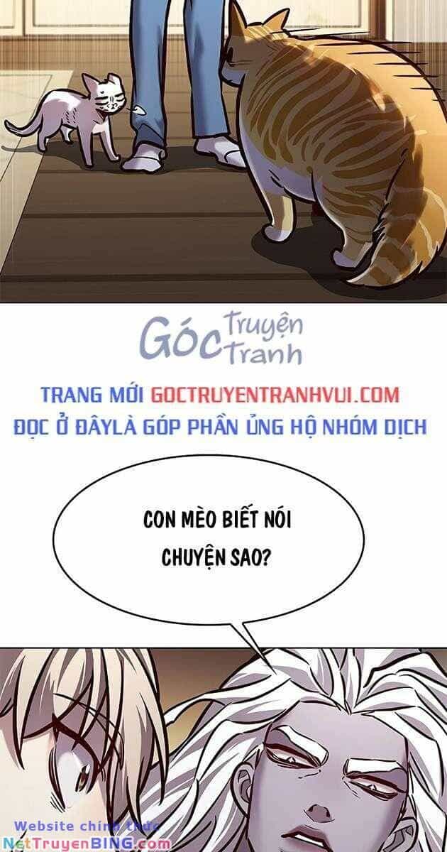 Hoá Thân Thành Mèo - Chương 278 - ảnh 16
