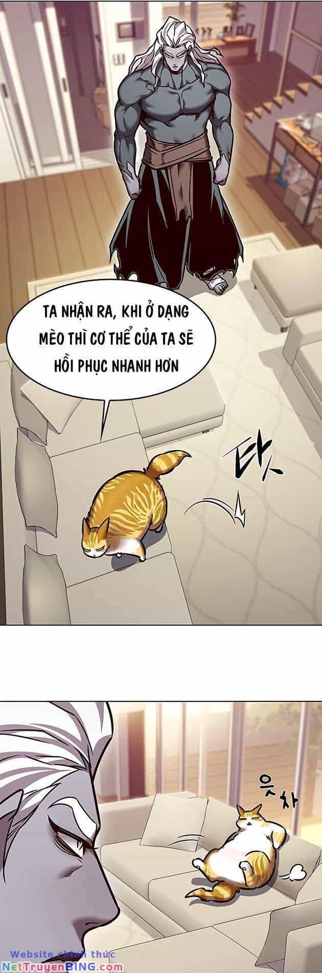 Hoá Thân Thành Mèo - Chương 278 - ảnh 57
